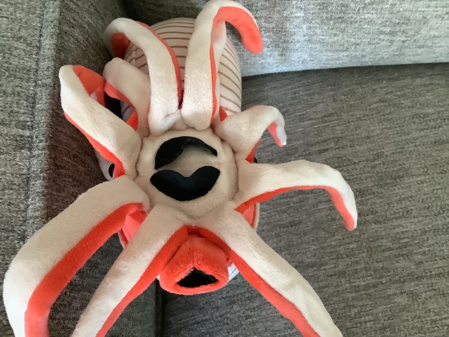 Customer photo review of Ammonite Soft Stuffed Plush Toy