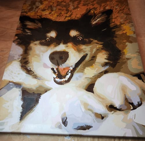 Customer photo review of Custom Pet Paint By Numbers