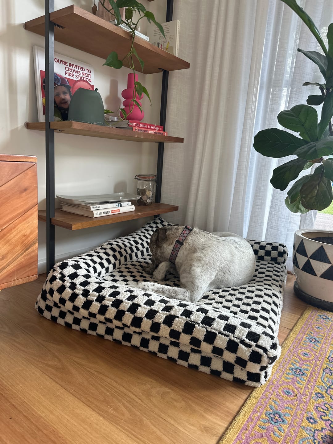 Customer photo review of Orthopedic Dog Bed Pet Mat Calming Checkered Plush Sofa Washable