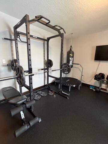 Customer photo review of EVOLPOW P2A Brute All-in-One Power Rack Home Gym - For Beginner