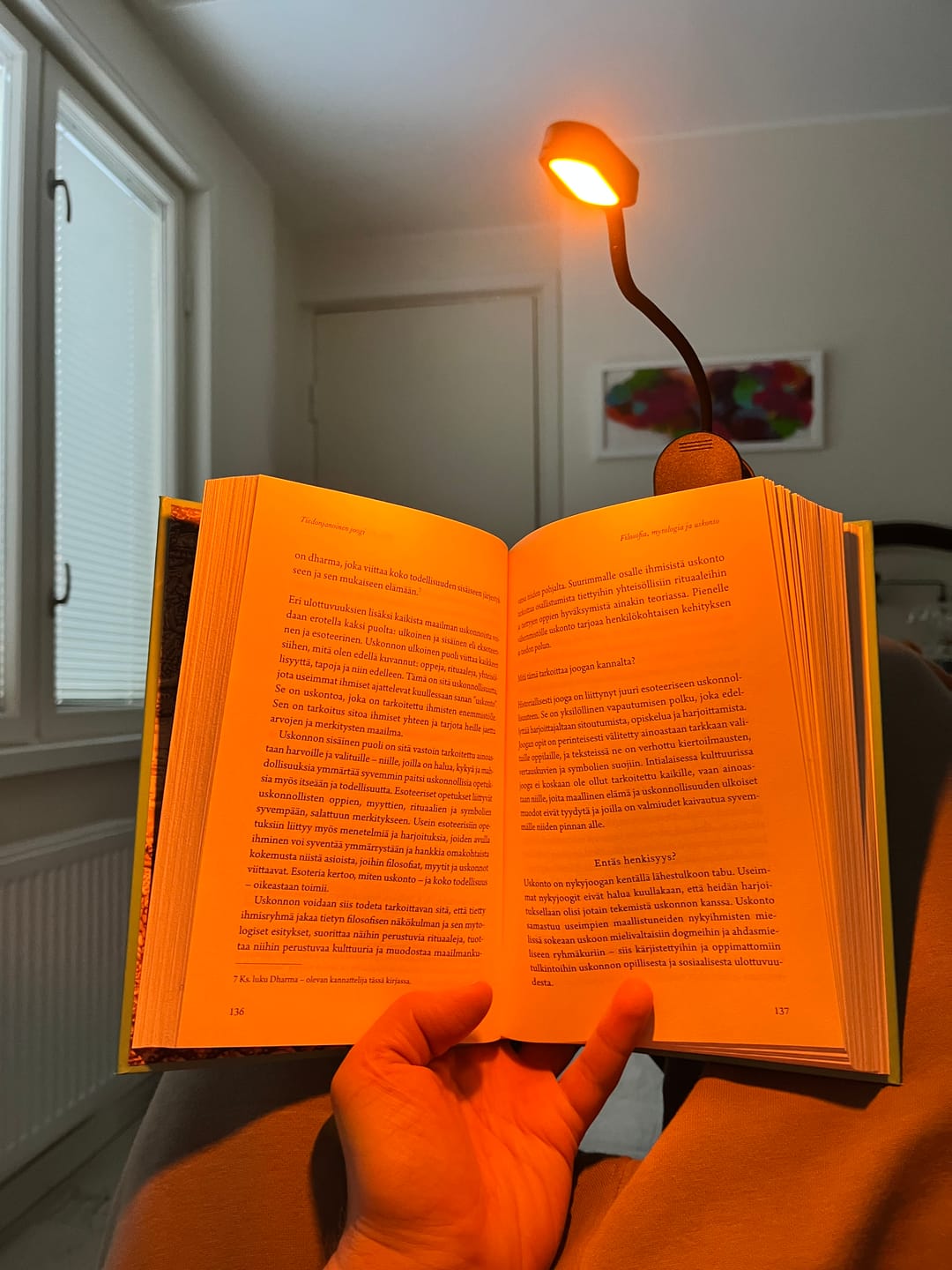 Customer photo review of HOHDE lukuvalo