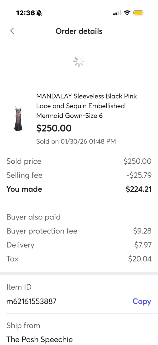 Customer photo review of Red Carpet Ready Exclusive Celebrity Mandalay Dresses NWT