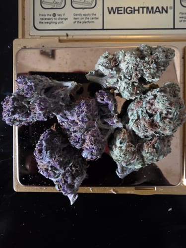 Customer photo review of Shipping Protection by Route