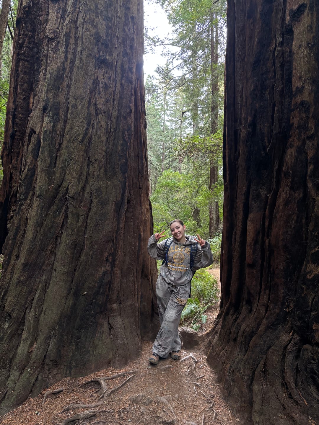 Customer photo review of 2052 - Gold's Iron Legacy Heritage Sweats