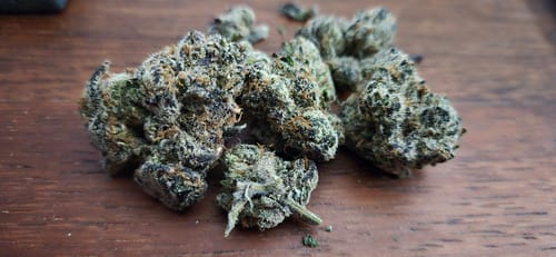 Customer photo review of BLACK CHERRY GELATO HAULER