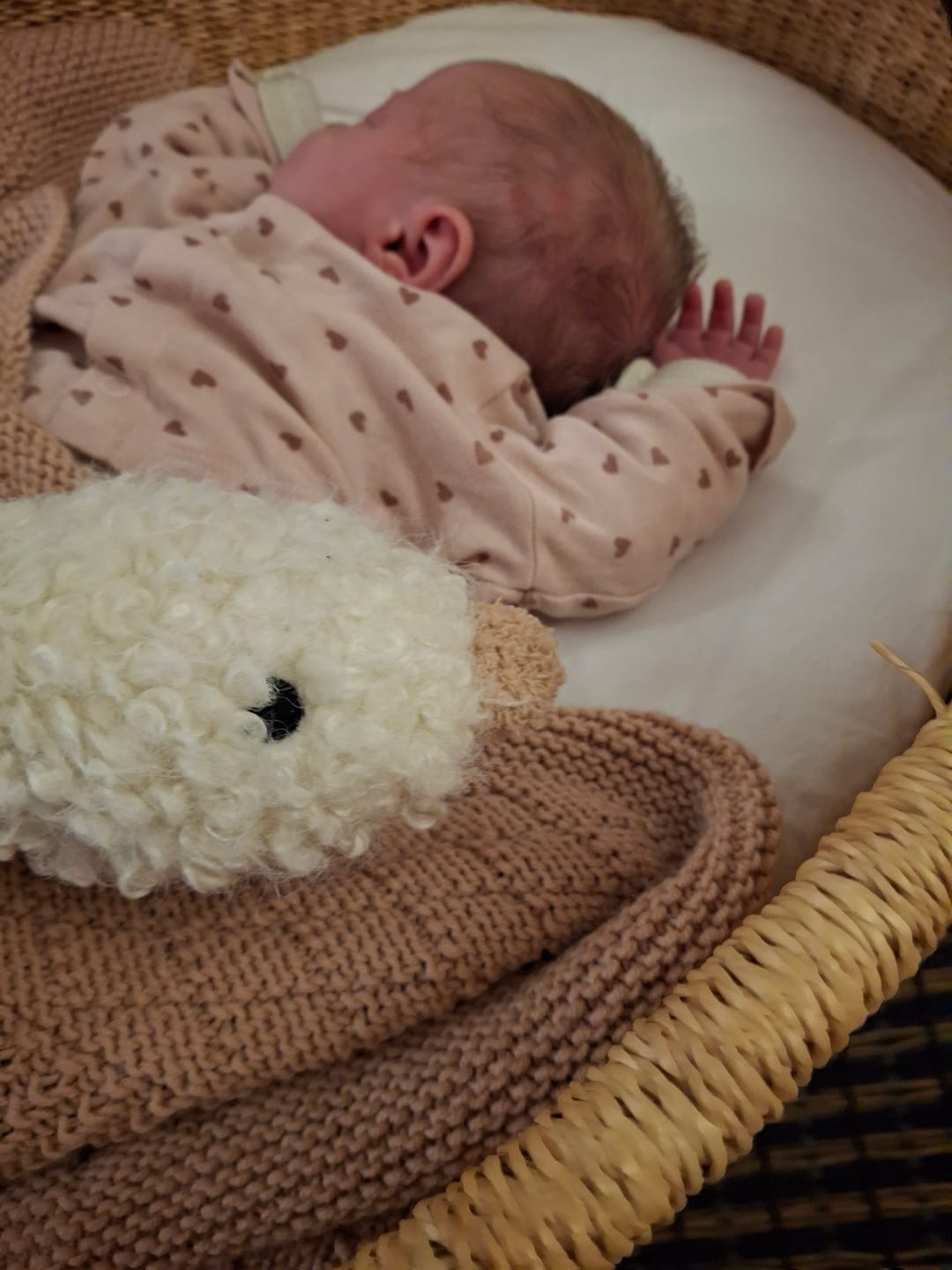 Customer photo review of Handmade Cuddle Duck