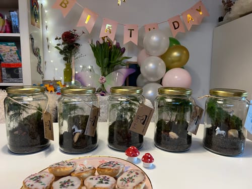 Rezensentenfoto von fünf fertigen Flaschengärten aus dem Set, aufgereiht auf einem Tisch während einer Geburtstagsfeier.