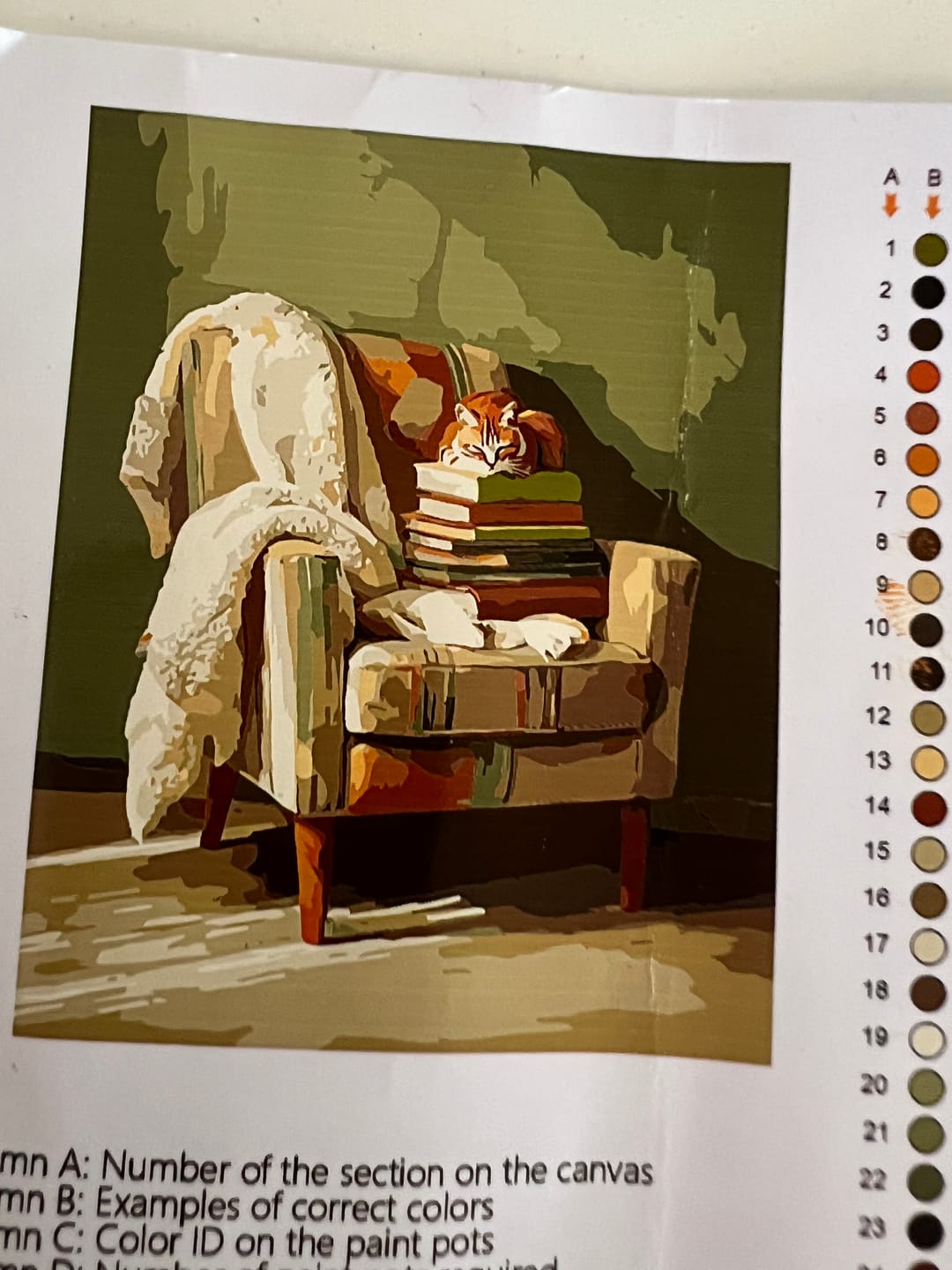 Customer photo review of Occupied | Paint by Number