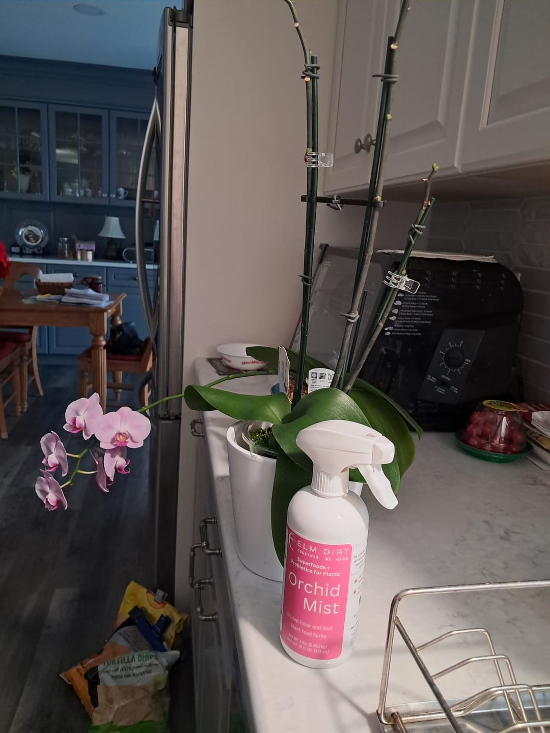Customer photo review of Orchid Mist Foliar Feed
