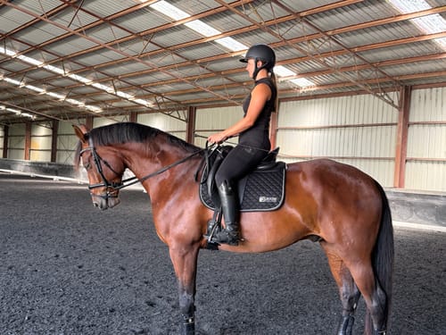 Customer photo review of LE Performance Dressage Saddle Pad with Shims