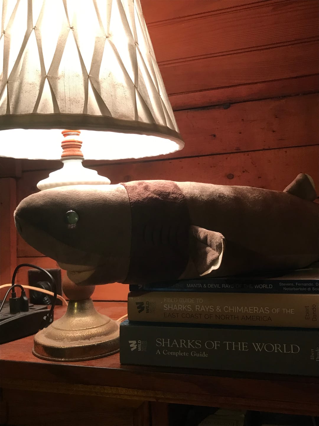 Customer photo review of Cookiecutter shark Soft Stuffed Plush Toy