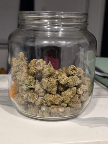 Customer photo review of Blueberry Muffins - Bulk - Indica