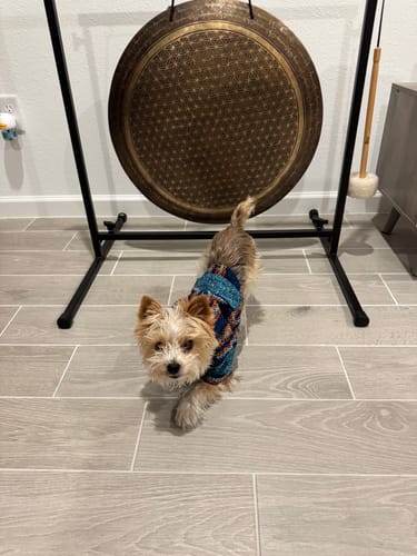 Customer photo review of Free & Easy Return or Exchange Coverage + Package Protection