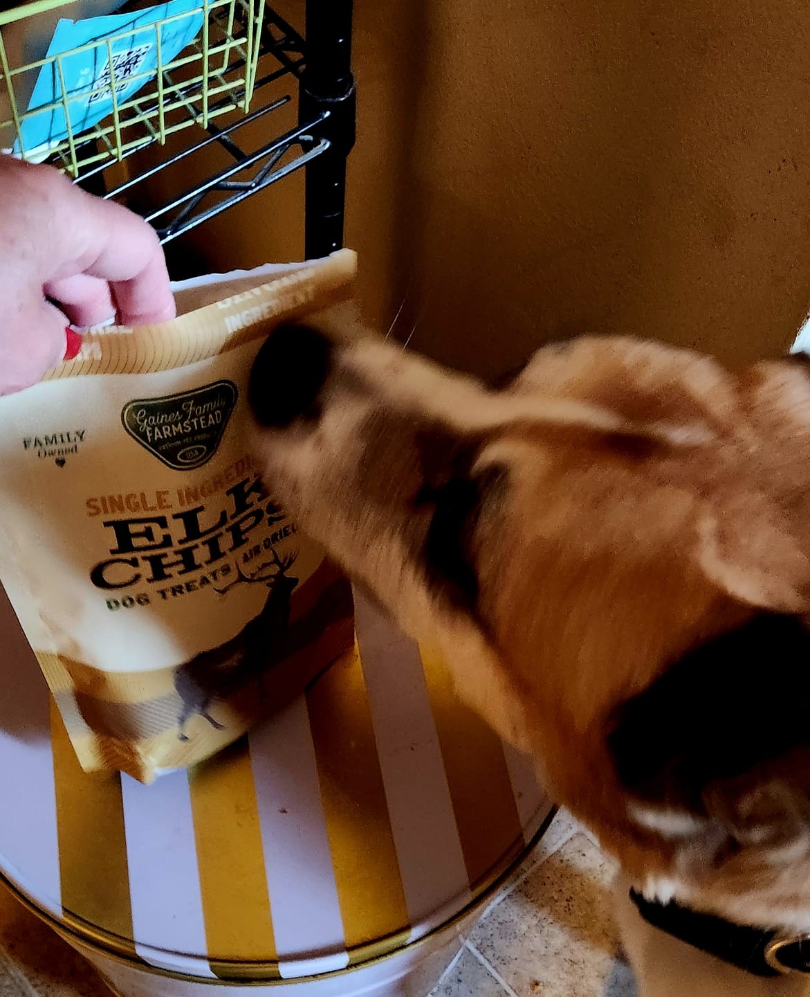 Customer photo review of Beef Chips