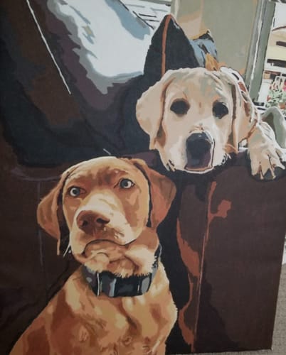 Customer photo review of Custom Pet Paint By Numbers