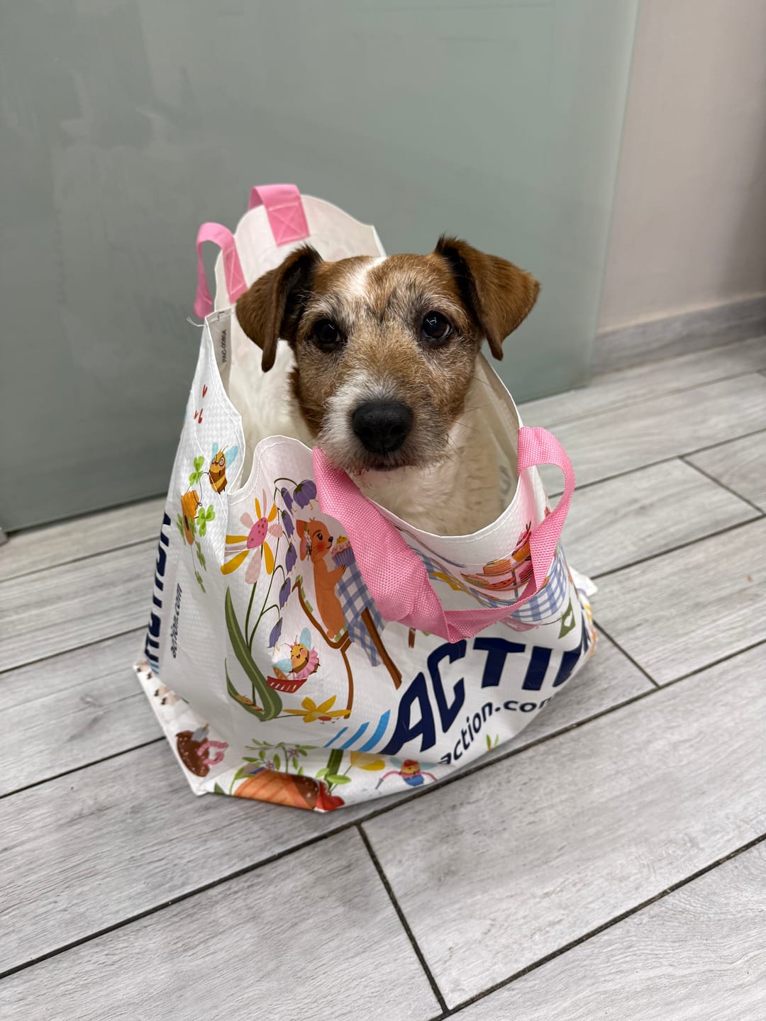 Customer photo review of Belly Champ €9,90