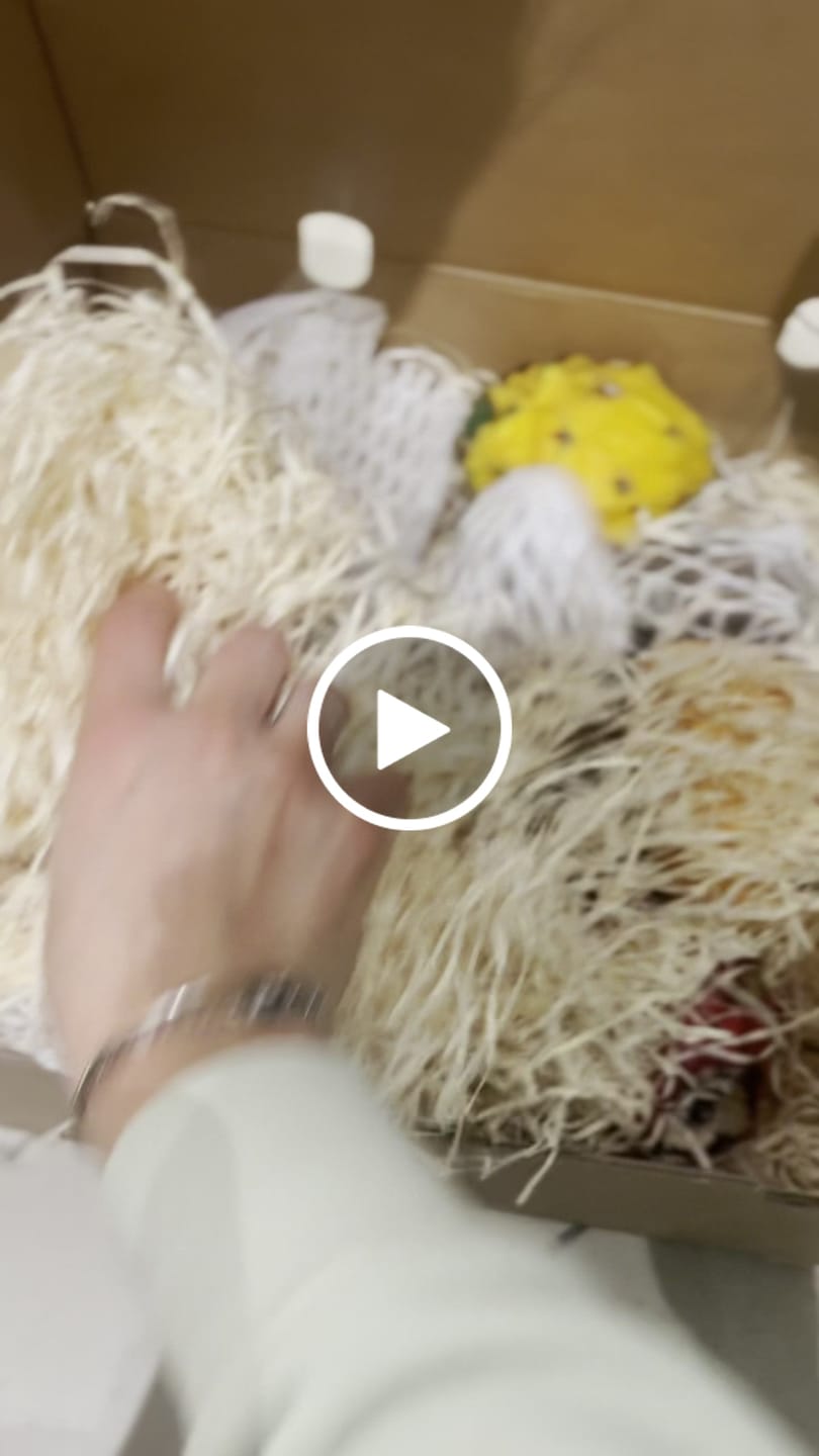 Customer video review of Tropenreise Südamerika Box