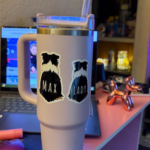 Customer photo review of Aussie Behind Sticker