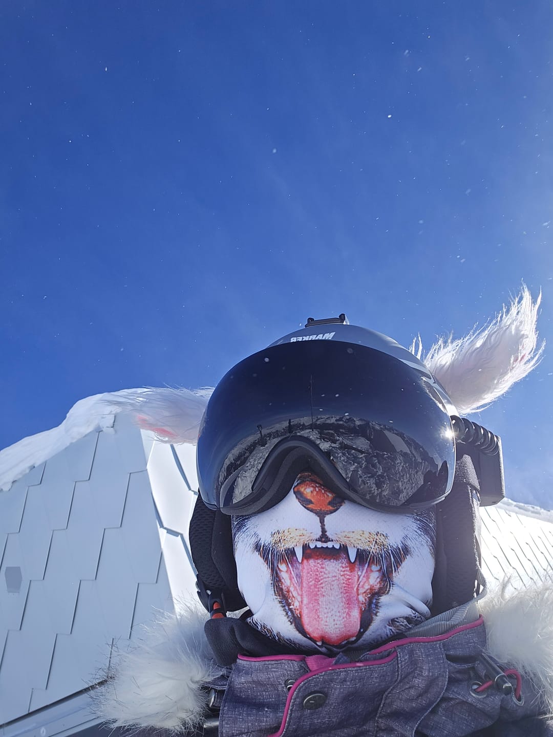 Customer photo review of 2026 REKKIE Smart Snow Goggles