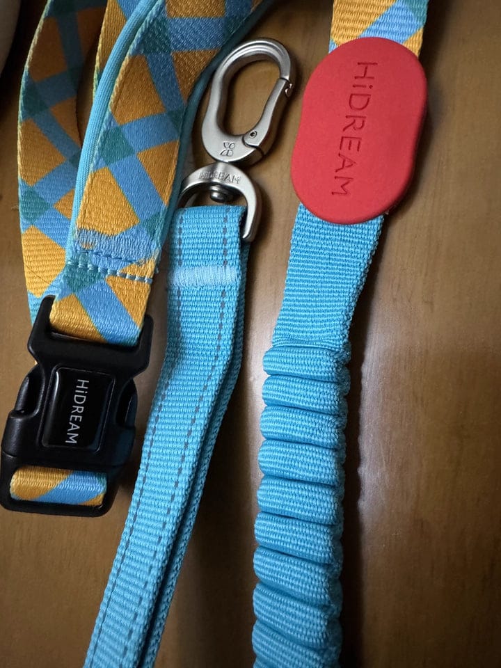 Customer photo review of Colorful PRO Bungee Dog Leash – 3-in-1 Shock-Absorbing Design, Single or Set with No Choke X Harness