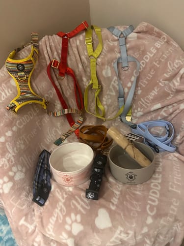 Customer photo review of Mystery Box - Dog