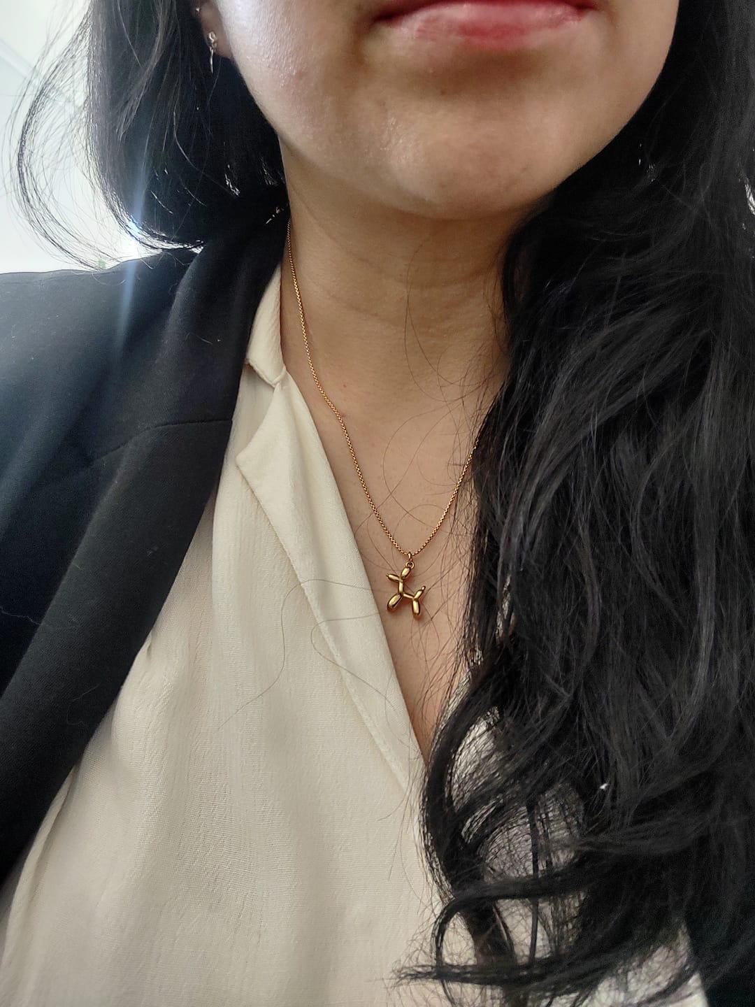 Customer photo review of Collar Doggy