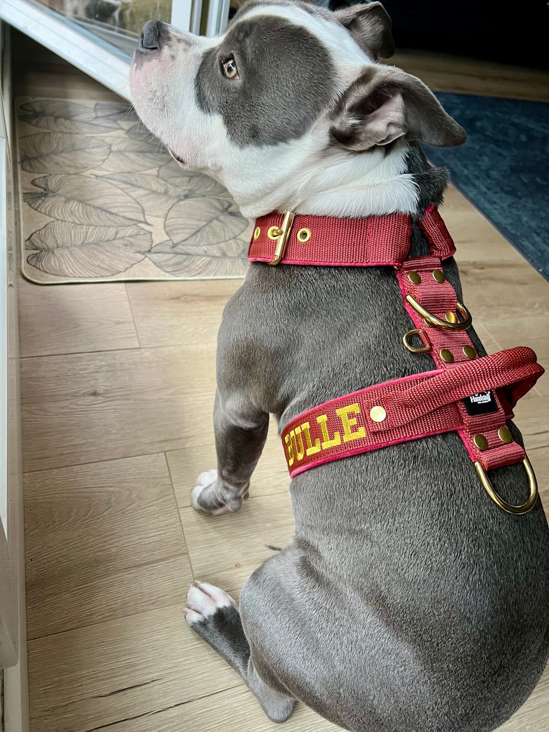 Customer photo review of Hundsele med namn