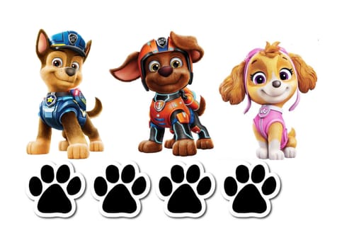 Customer photo review of Конструктор макетов А4 (20 х 27 см)