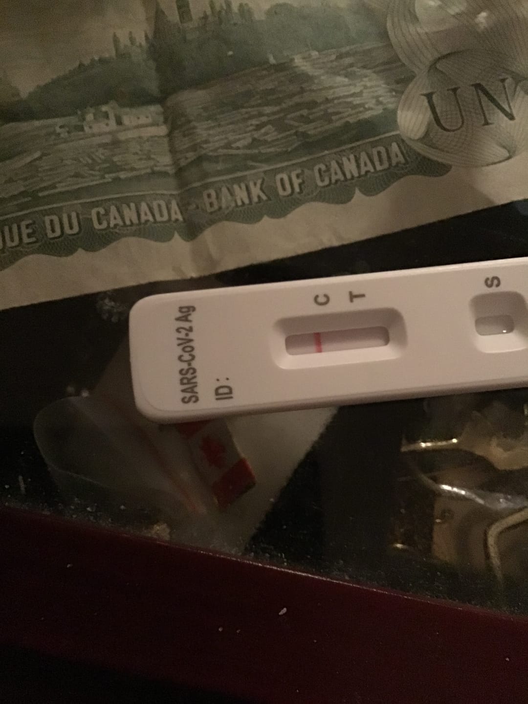 Customer photo review of Flowflex COVID-19 Antigen Rapid Test Kit