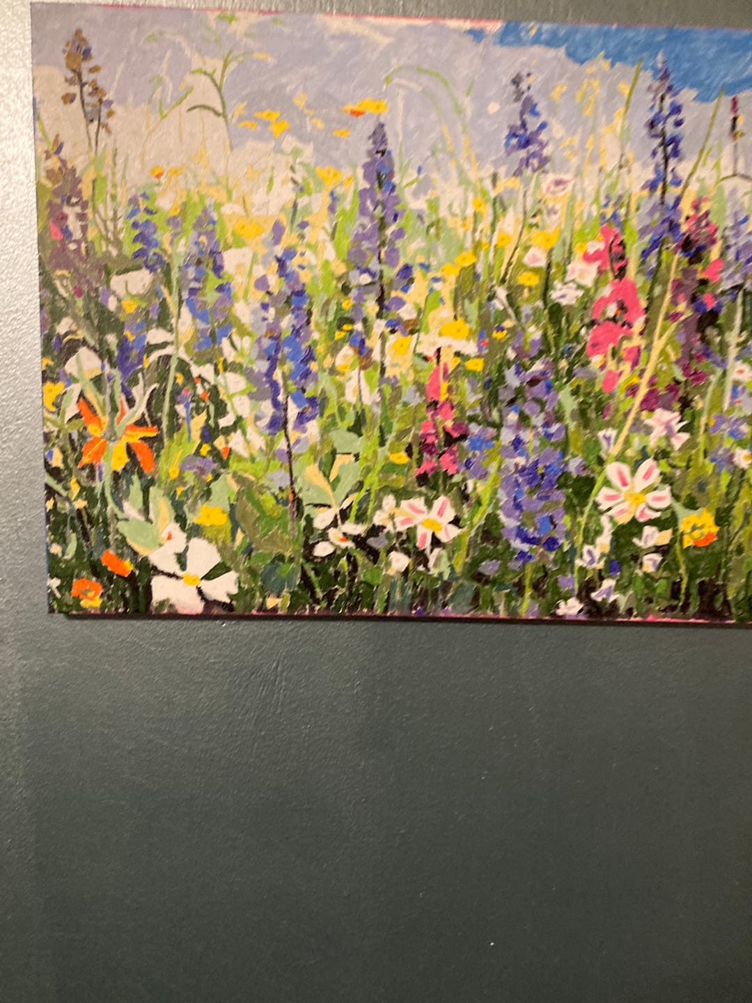 Customer photo review of Nature's Tapestry