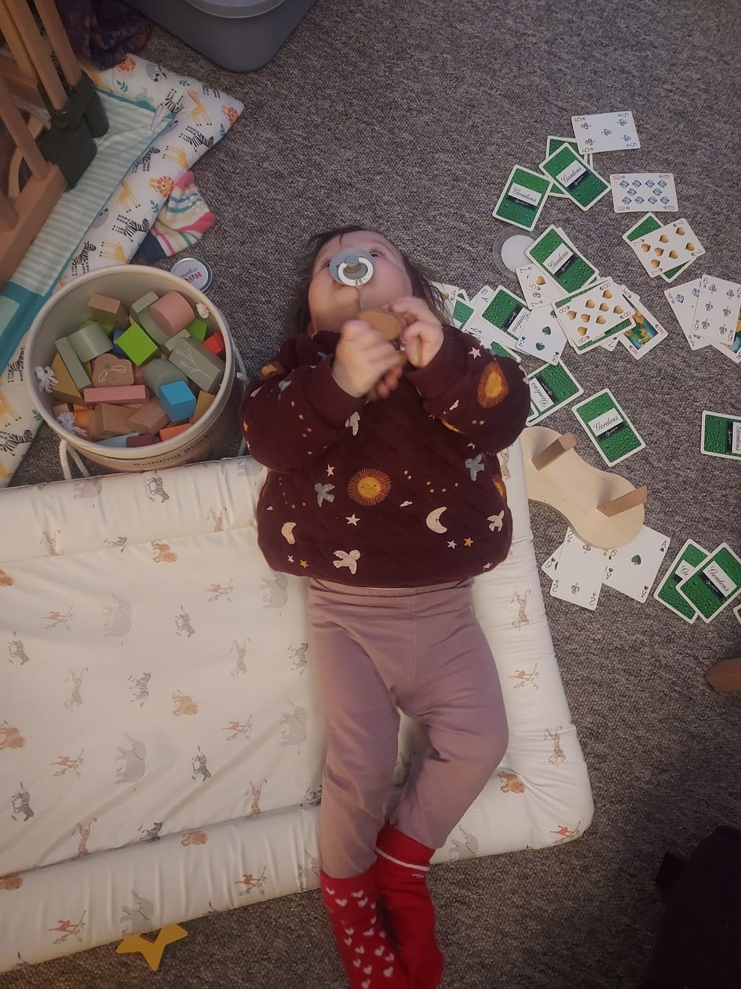 Customer photo review of Flying Birds Quilted Sweatshirt