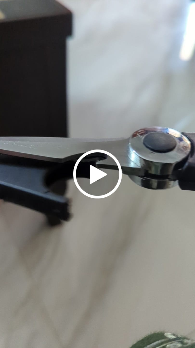 Customer video review of Kitchen Scissor