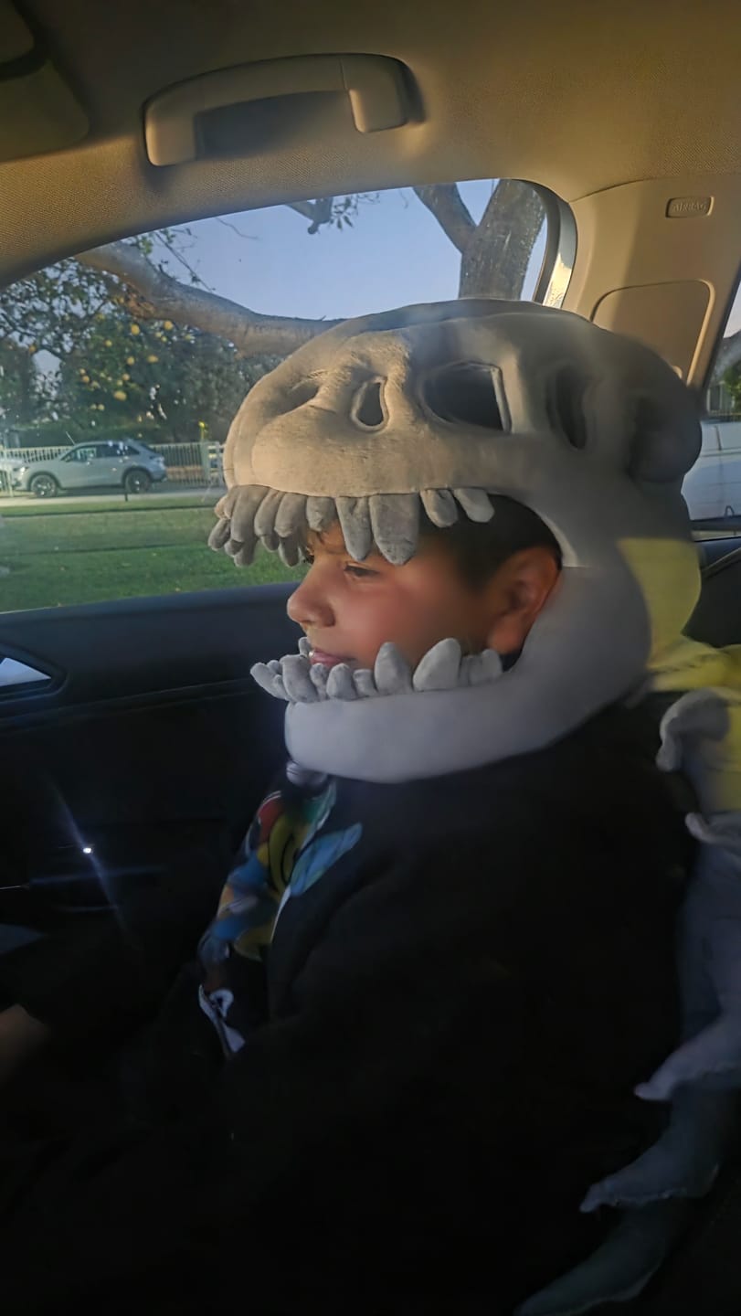 Customer photo review of The Godzilla Snug™