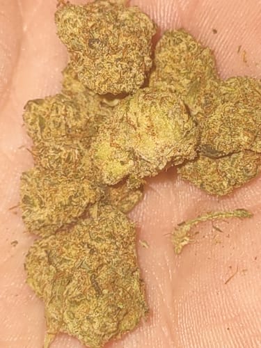 Customer photo review of Cheap Indoor THCA Flower Ounce