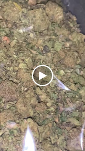 Customer video review of Hash Plant THCA Kief Trim