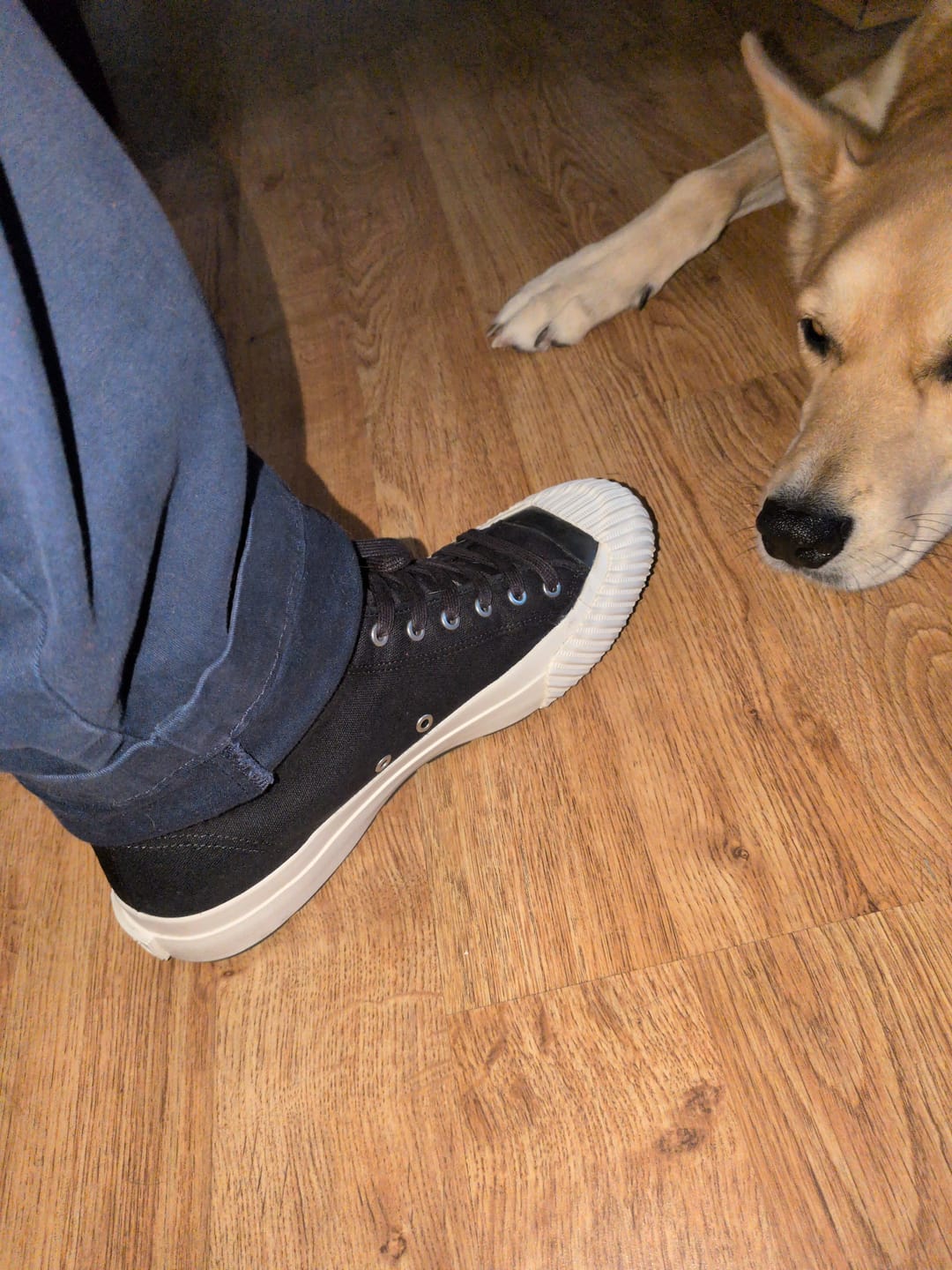 Customer photo review of Grounder High-Top Black/Sea Salt