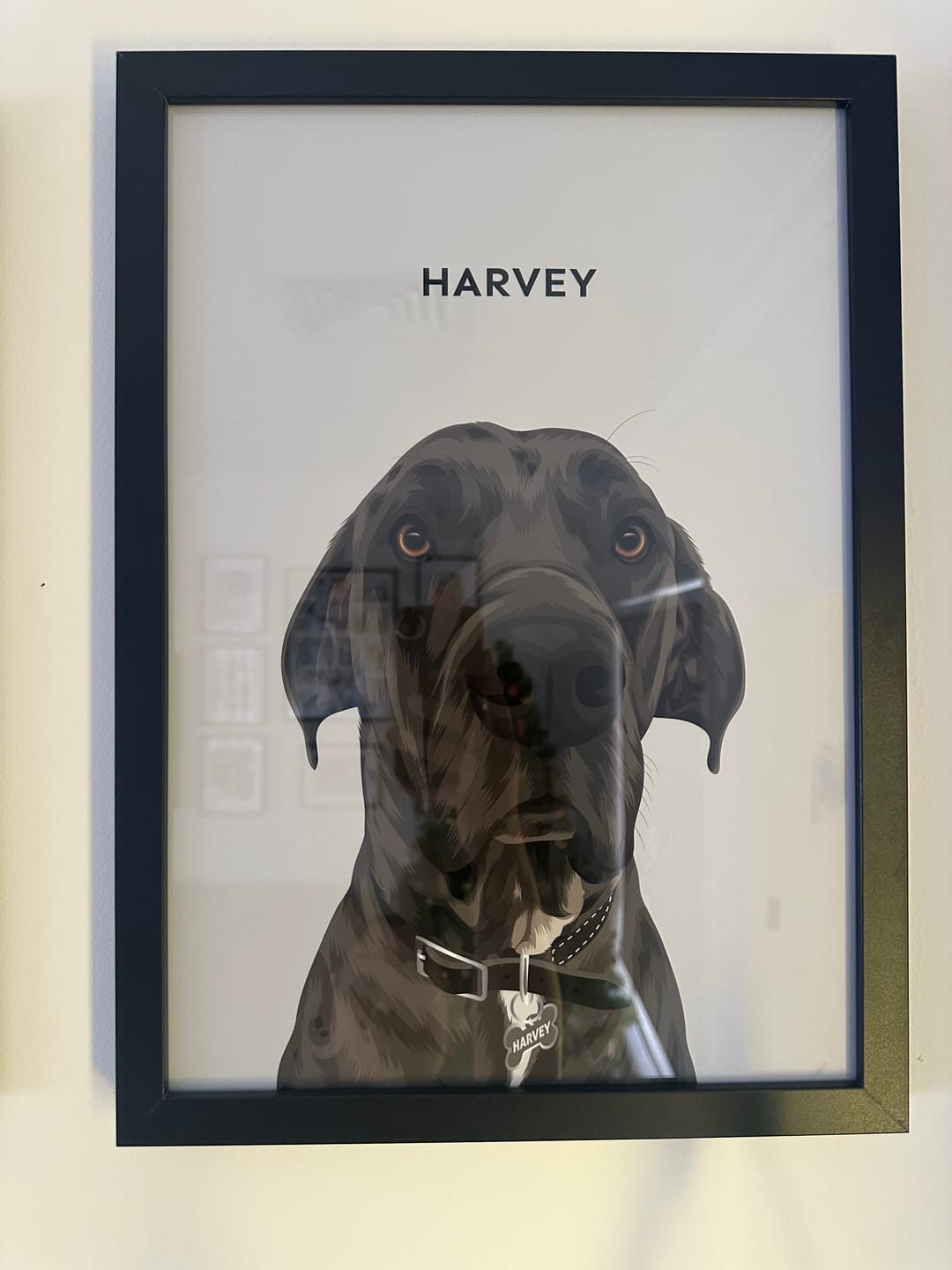 Customer photo review of Custom Pet Portrait - One Pet