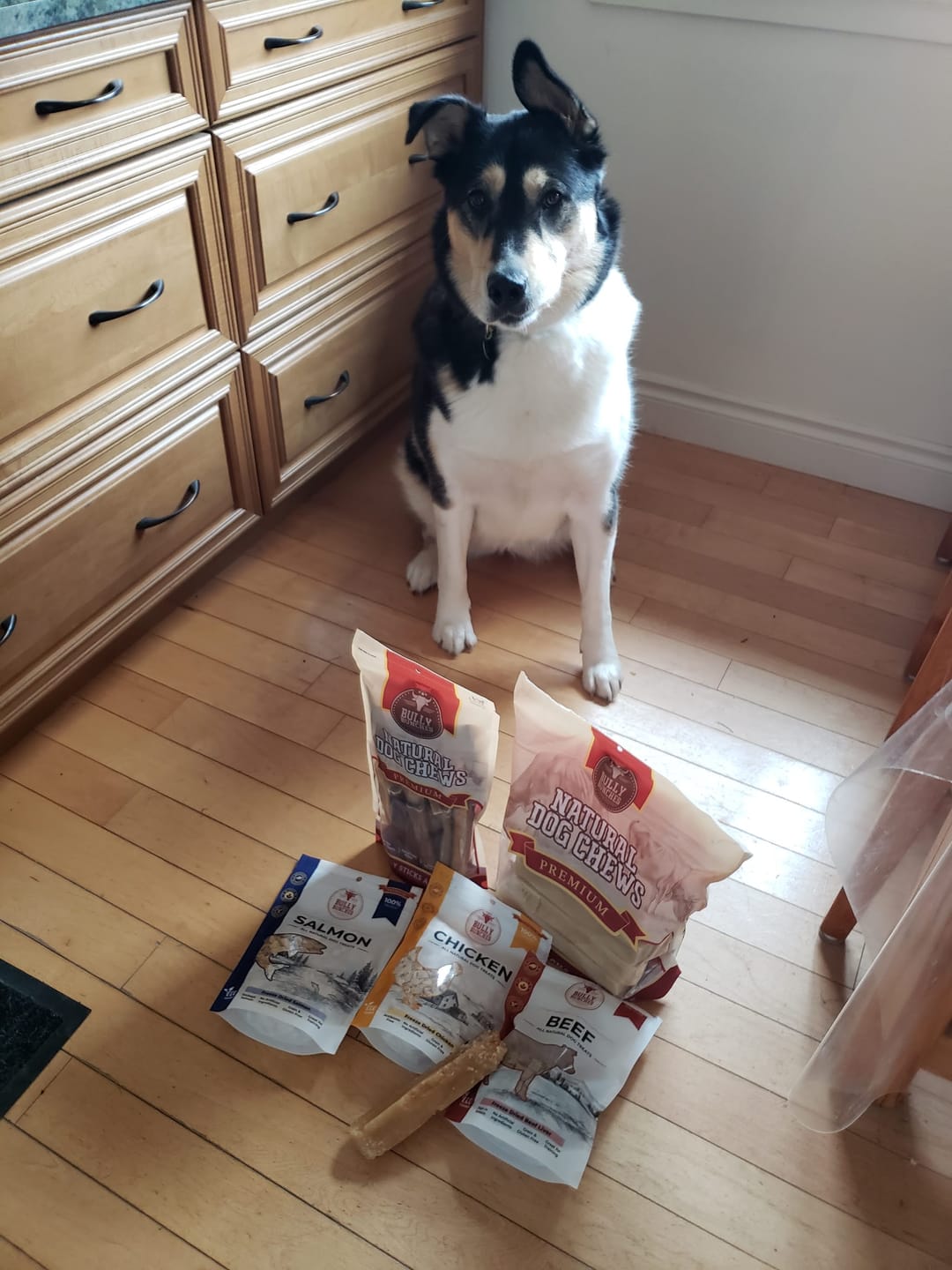 Customer photo review of Himalayan Yak Chew (MEGA)
