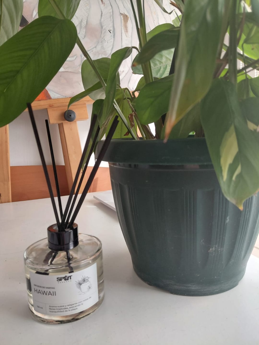 Customer photo review of Difusor de Varillas Hawaii