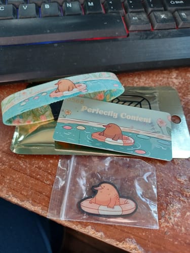 Customer's Unreleased Goldie set, including a pastel bracelet, a card, and a cute pin of an animal on a floaty.