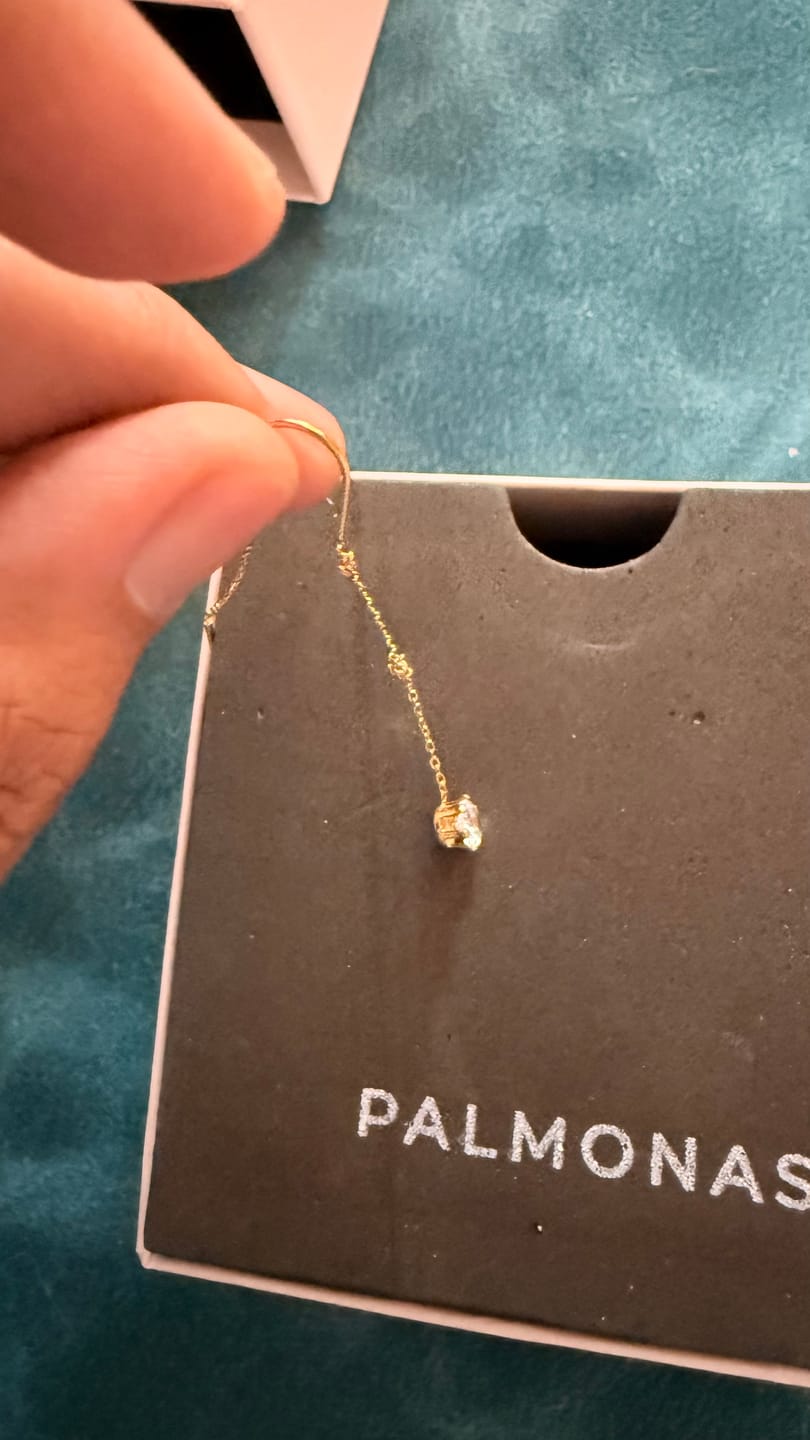 Customer photo review of Crystal Tip Glide Chain Drop Earring