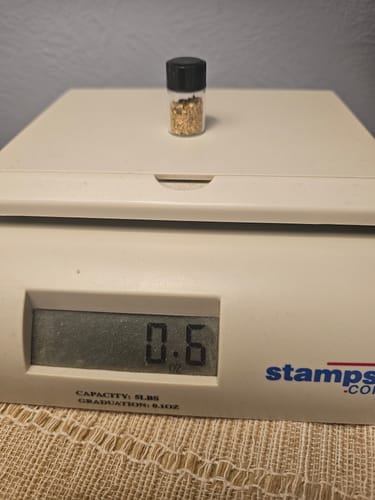 Customer photo review of *BOGO* Gold Diggers Delight '5 OUNCE GOLD CHASE' - Gold Paydirt Panning Concentrates