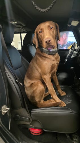 Customer photo review of 2013-18 Jeep Wrangler JK Custom Leather Seat Covers