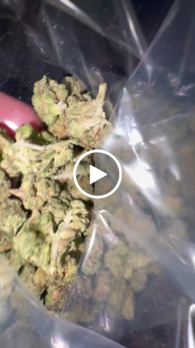 Customer video review of Greenhouse Smalls