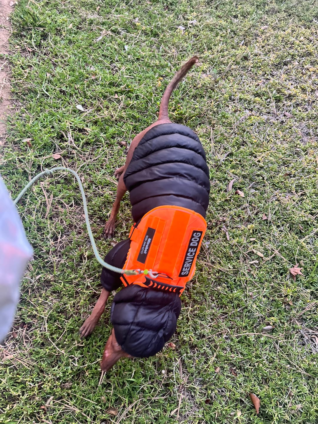 Customer photo review of Hook & Loop Patch For Harness