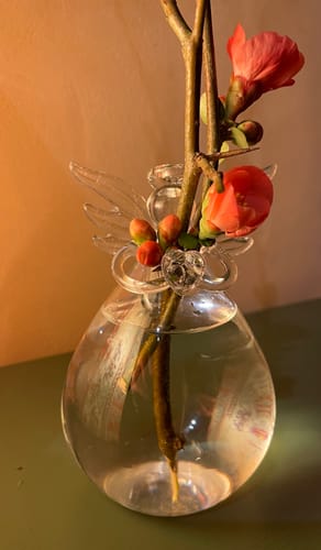 Customer photo review of Mon grand ange gardien®