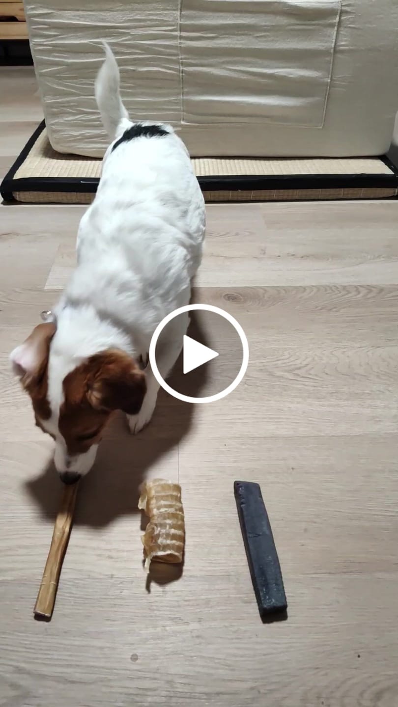 Customer video review of Trail Mix