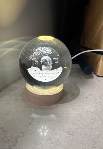 Reviewer's illuminated crystal ball night light with a personalized pet photo etched inside.