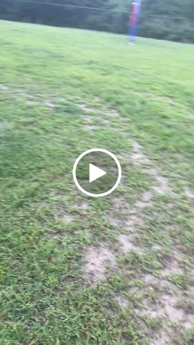 Customer video review of OGL Women's NWT/NWOT Wholesale Clothing