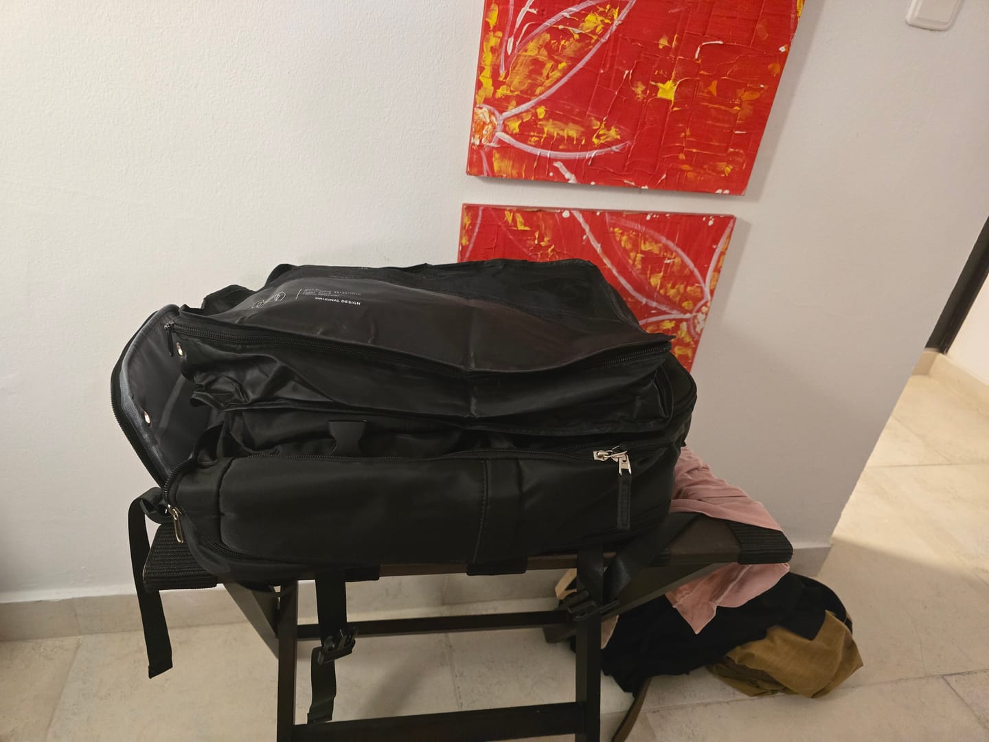 Customer photo review of Royal Travel Backpack